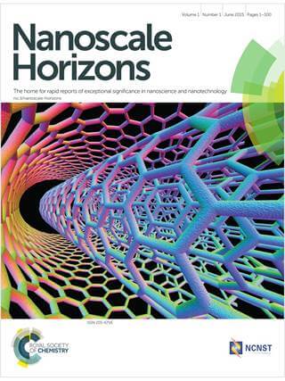 0993_nanoscale_horizons_f2c-900 (1) (1)