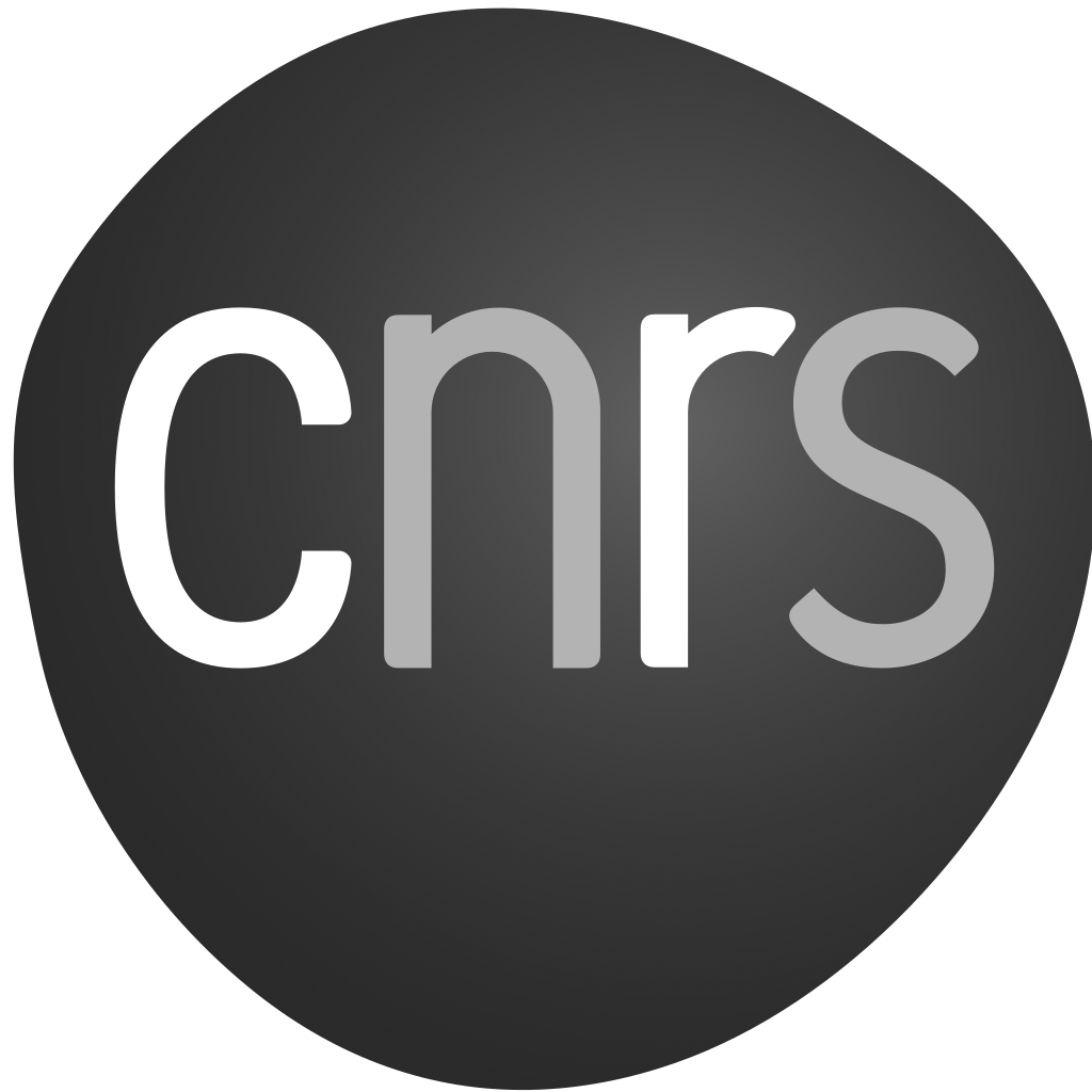 Logo CNRS - National center for scientific research