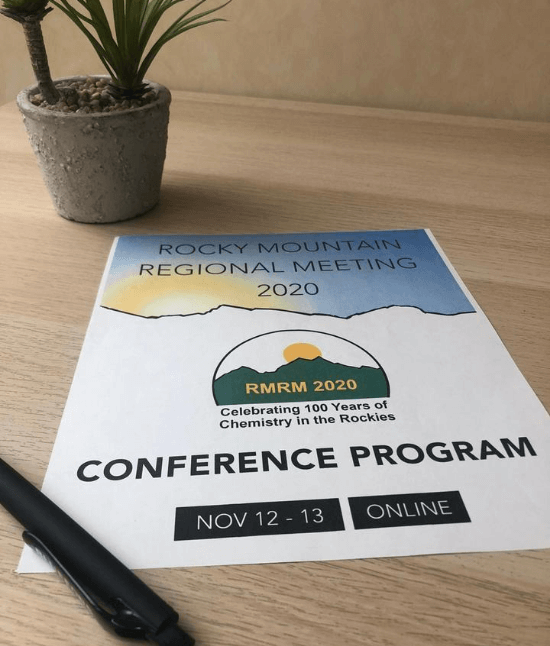 Online conference program