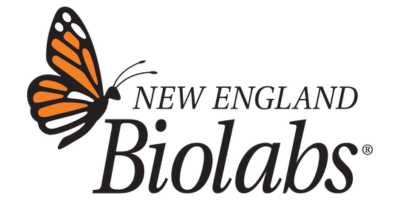New England Biolabs France