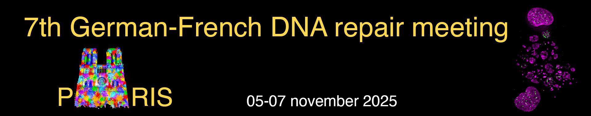 German French DNA banner