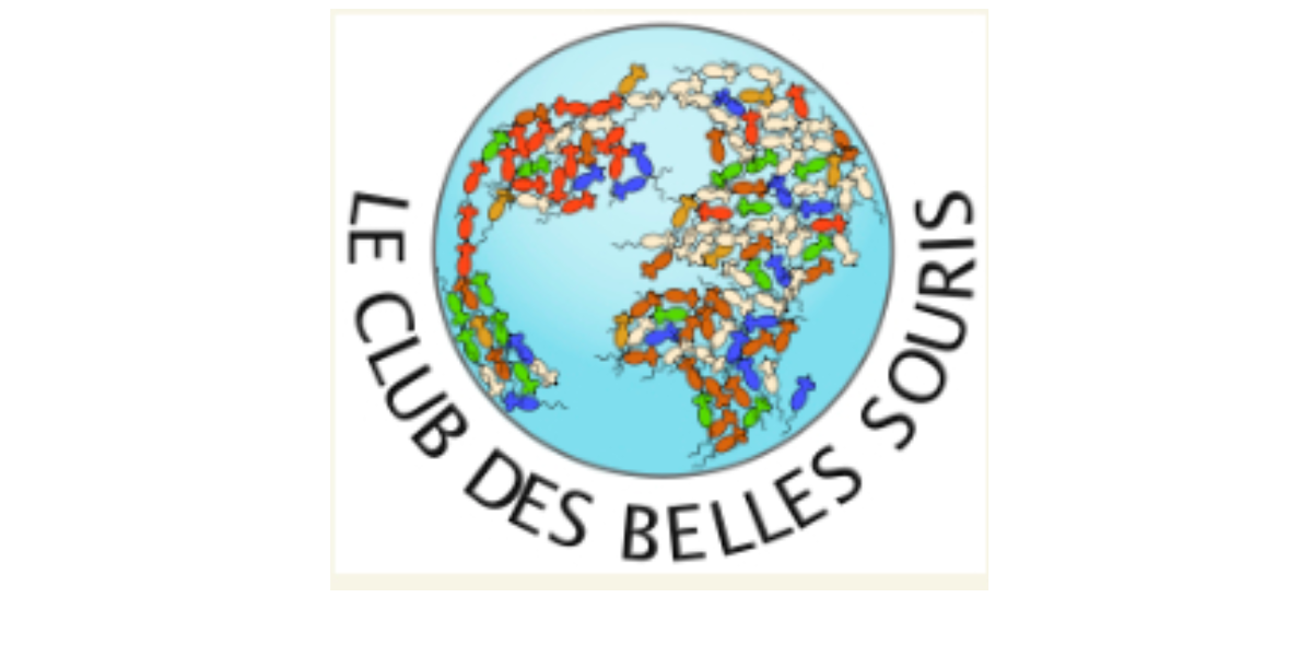 German French DNA banner