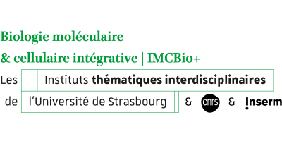 Logo ITI IMC Bio+