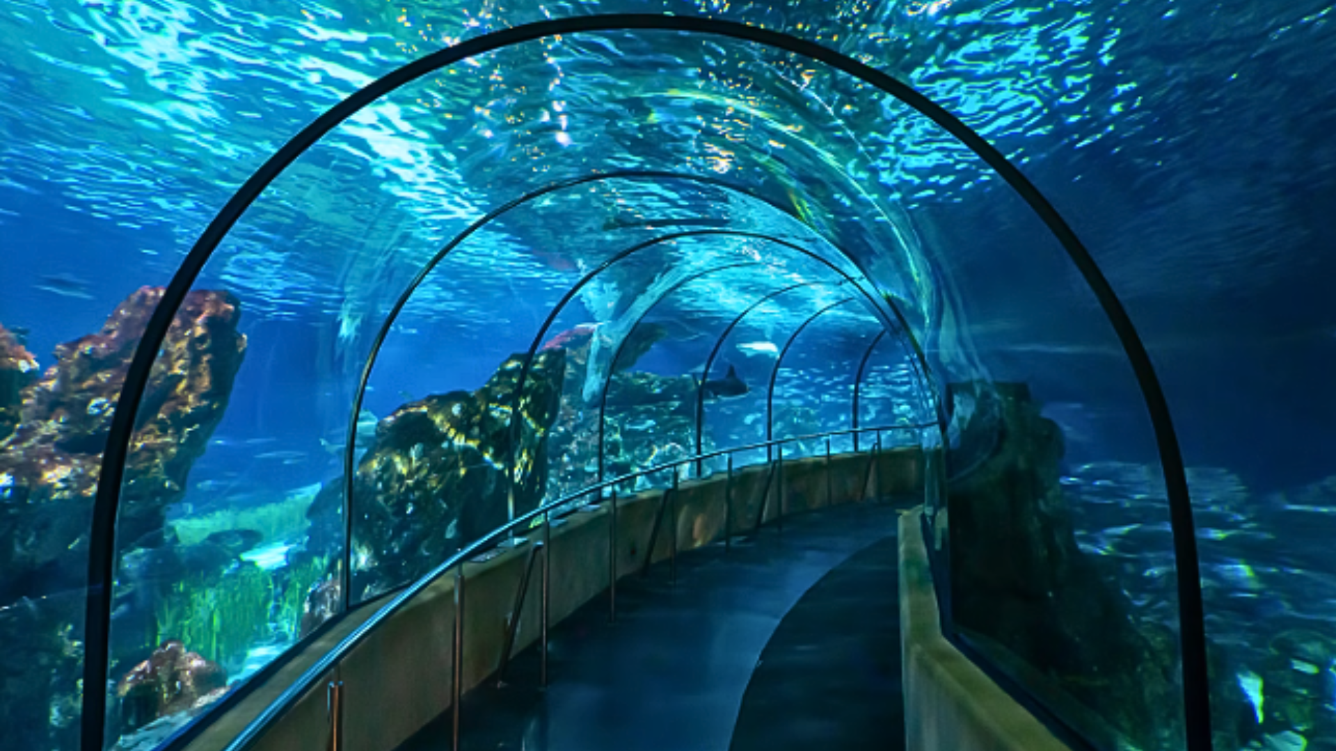 Aquarium de Barcelona